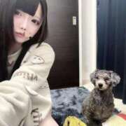 ヒメ日記 2026/08/09 19:21 投稿 あの☆超カワ天然某芸能人！？☆ アネキャンモード