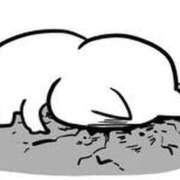 ヒメ日記 2026/01/15 17:31 投稿 はち☆奇跡の神スタイル☆ アネキャンモード