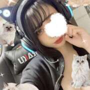 ヒメ日記 2025/07/08 02:00 投稿 ゆきほ☆未経験Ｉカップ☆ アネキャンモード