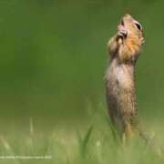 じゅり☆リピ確イラマ美女☆ ドビュー🚗 ³₃ アネキャンモード