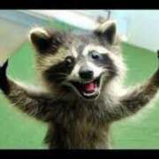 じゅり☆リピ確イラマ美女☆ わぁ アネキャンモード