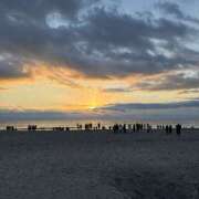 つむぎ 2026年 美熟女専科白夜