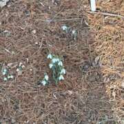 ヒメ日記 2026/02/24 15:32 投稿 つむぎ 美熟女専科白夜