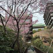 ヒメ日記 2026/03/25 11:32 投稿 つむぎ 美熟女専科白夜