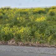 ヒメ日記 2026/03/31 11:11 投稿 つむぎ 美熟女専科白夜