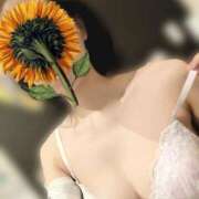 ヒメ日記 2025/08/26 17:30 投稿 ひまり Selection(セレクション)(沖縄)