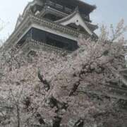 ヒメ日記 2025/04/05 15:21 投稿 めぐみ おもいっきり甘えさせてくれるおっぱい