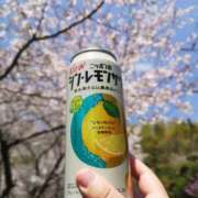 ヒメ日記 2025/04/09 12:07 投稿 めぐみ おもいっきり甘えさせてくれるおっぱい