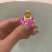 ヒメ日記 2025/03/15 01:50 投稿 乃愛 谷町人妻ゴールデン倶楽部