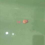 ヒメ日記 2025/03/25 13:40 投稿 乃愛 谷町人妻ゴールデン倶楽部