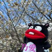 ヒメ日記 2025/04/16 12:05 投稿 乃愛 谷町人妻ゴールデン倶楽部