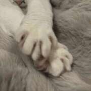 ヒメ日記 2025/07/08 03:20 投稿 乃愛 谷町人妻ゴールデン倶楽部