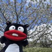 ヒメ日記 2025/07/12 04:05 投稿 乃愛 谷町人妻ゴールデン倶楽部