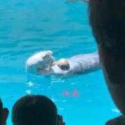 ヒメ日記 2025/11/20 21:30 投稿 乃愛 谷町人妻ゴールデン倶楽部