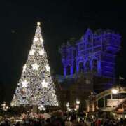 ヒメ日記 2025/12/17 14:30 投稿 乃愛 谷町人妻ゴールデン倶楽部