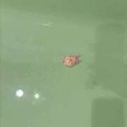 ヒメ日記 2026/01/25 03:05 投稿 乃愛 谷町人妻ゴールデン倶楽部