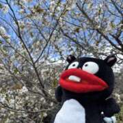 ヒメ日記 2026/03/08 23:50 投稿 乃愛 谷町人妻ゴールデン倶楽部