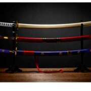 ヒメ日記 2024/12/20 19:57 投稿 ありゅ 西船人妻花壇