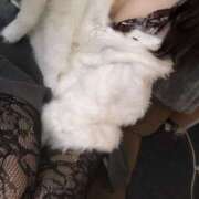 ヒメ日記 2025/01/15 13:09 投稿 奈々-なな【FG系列】 ほんとうの人妻 厚木店【FG系列】