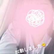 ヒメ日記 2025/07/02 14:56 投稿 さき 鹿児島ちゃんこ 薩摩川内店