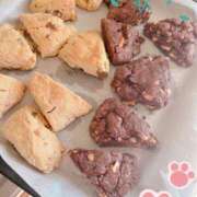 ヒメ日記 2025/12/13 15:56 投稿 さき 鹿児島ちゃんこ 薩摩川内店