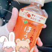 さき 🙇‍♀️ 鹿児島ちゃんこ 薩摩川内店