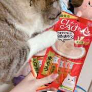ヒメ日記 2026/09/06 21:26 投稿 ゆめこ ニュー不夜城