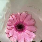 ヒメ日記 2025/12/25 09:58 投稿 糸師　さえ ゴシップガール～淑女不倫～