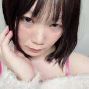 ヒメ日記 2024/12/25 12:18 投稿 はる クラブダイアモンド日本橋店