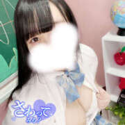 ヒメ日記 2024/12/24 11:02 投稿 いと ぽちゃカワ女子専門店宇都宮店