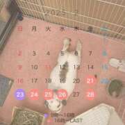 ヒメ日記 2025/02/19 00:40 投稿 らん ロイヤルヴィトン(宇都宮)