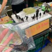 ヒメ日記 2025/06/13 12:01 投稿 らん ロイヤルヴィトン(宇都宮)