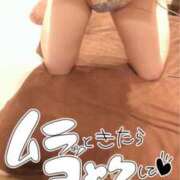 らん 今シーズンの犠牲数 ロイヤルヴィトン(宇都宮)