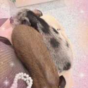ヒメ日記 2026/10/13 02:19 投稿 らん ロイヤルヴィトン(宇都宮)