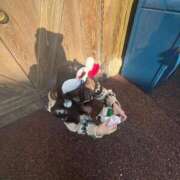 ヒメ日記 2026/01/25 02:25 投稿 ほなみ 帯広アニバーサリー