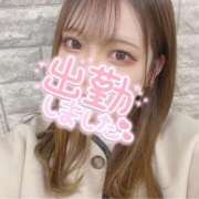 ヒメ日記 2025/02/20 17:50 投稿 なこ 京都出張メンズエステChou Chou（シュシュ)