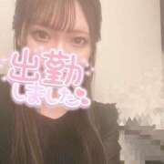 ヒメ日記 2025/04/24 18:25 投稿 なこ 京都出張メンズエステChou Chou（シュシュ)