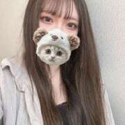 ヒメ日記 2025/04/29 13:02 投稿 なこ 京都出張メンズエステChou Chou（シュシュ)