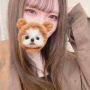 ヒメ日記 2025/04/29 17:50 投稿 なこ 京都出張メンズエステChou Chou（シュシュ)