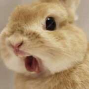 ヒメ日記 2025/05/09 17:00 投稿 なこ 京都出張メンズエステChou Chou（シュシュ)