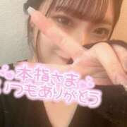 ヒメ日記 2025/05/23 04:40 投稿 なこ 京都出張メンズエステChou Chou（シュシュ)