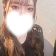 ヒメ日記 2025/09/06 03:50 投稿 なこ 京都出張メンズエステChou Chou（シュシュ)