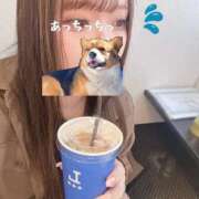 ヒメ日記 2025/09/07 15:00 投稿 なこ 京都出張メンズエステChou Chou（シュシュ)