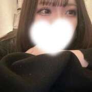 ヒメ日記 2025/09/11 20:27 投稿 なこ 京都出張メンズエステChou Chou（シュシュ)