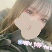 ヒメ日記 2025/09/26 02:01 投稿 なこ 京都出張メンズエステChou Chou（シュシュ)