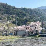 ヒメ日記 2025/04/17 16:43 投稿 さわ 熟女家 十三店