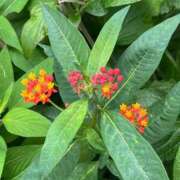 ヒメ日記 2025/06/19 16:22 投稿 さわ 熟女家 十三店