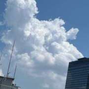 ヒメ日記 2025/08/16 12:35 投稿 さわ 熟女家 十三店