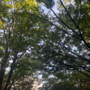 ヒメ日記 2025/09/10 08:51 投稿 さわ 熟女家 十三店