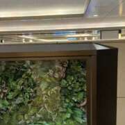 ヒメ日記 2025/09/17 15:49 投稿 さわ 熟女家 十三店